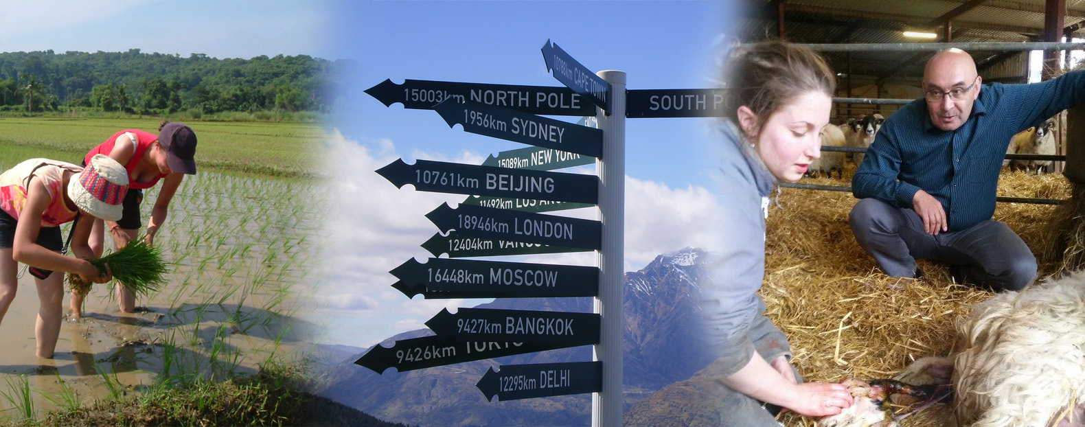 panneau avec pleins de directions