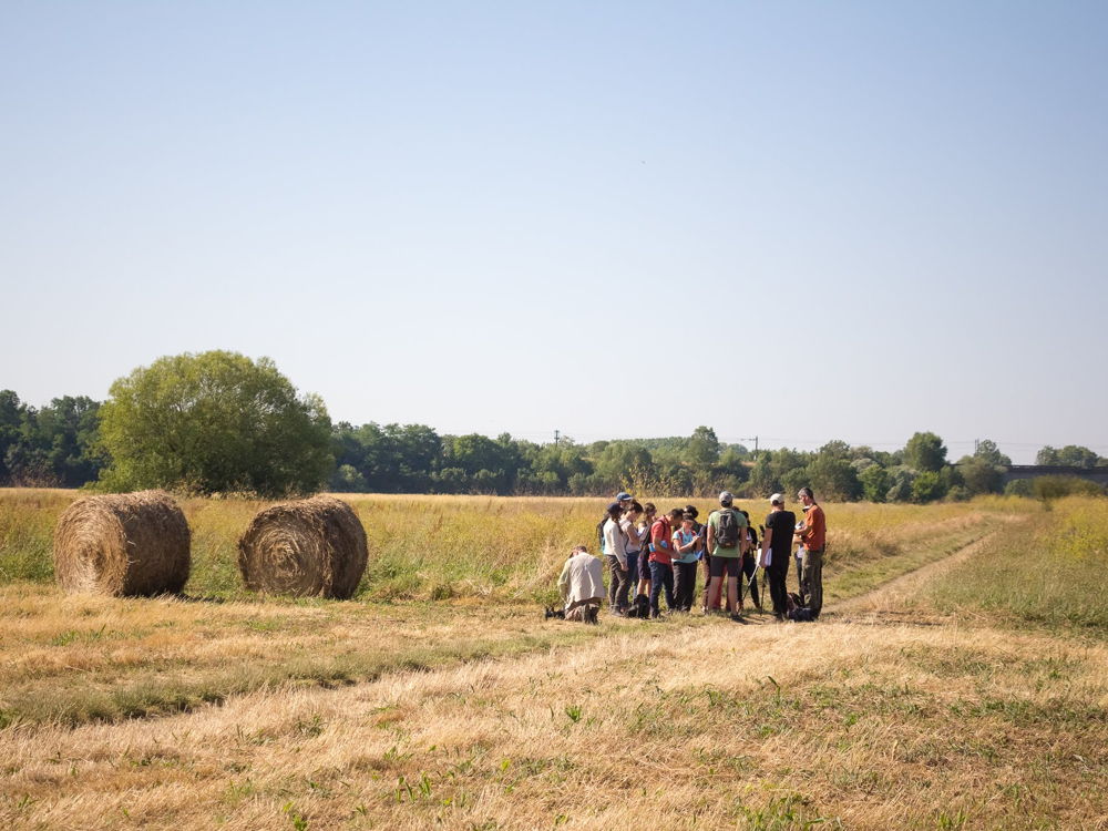 BTSA ACS’AGRI à orientation Agriculture Biologique (AB) à distance, formation ESA, capacité professionnelle agricole, reprise terres agricoles