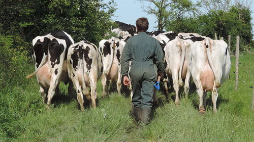 BTS ACS’AGRI – Analyse, conduite et stratégie de l’entreprise agricole (ex : BTS ACSE) formation ESA, distanciel, reprendre une exploitation, diagnostiquer un système d’exploitation