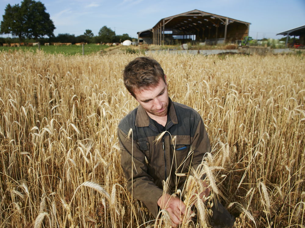 BTS ACS’AGRI – Analyse, conduite et stratégie de l’entreprise agricole (ex : BTS ACSE) formation ESA, distanciel, reprendre une exploitation, diagnostiquer un système d’exploitation
