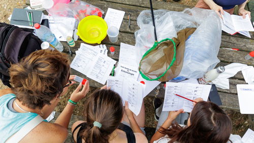 BTSA Gestion et protection de la nature (GPN) à distance, formation ESA, écosystèmes, écologie
