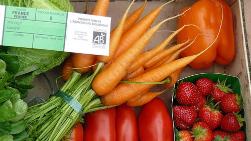BTSA Métiers du végétal : alimentation, ornement et environnement, à orientation Agriculture Biologique (AB), à distance, formation ESA, capacité professionnelle agricole