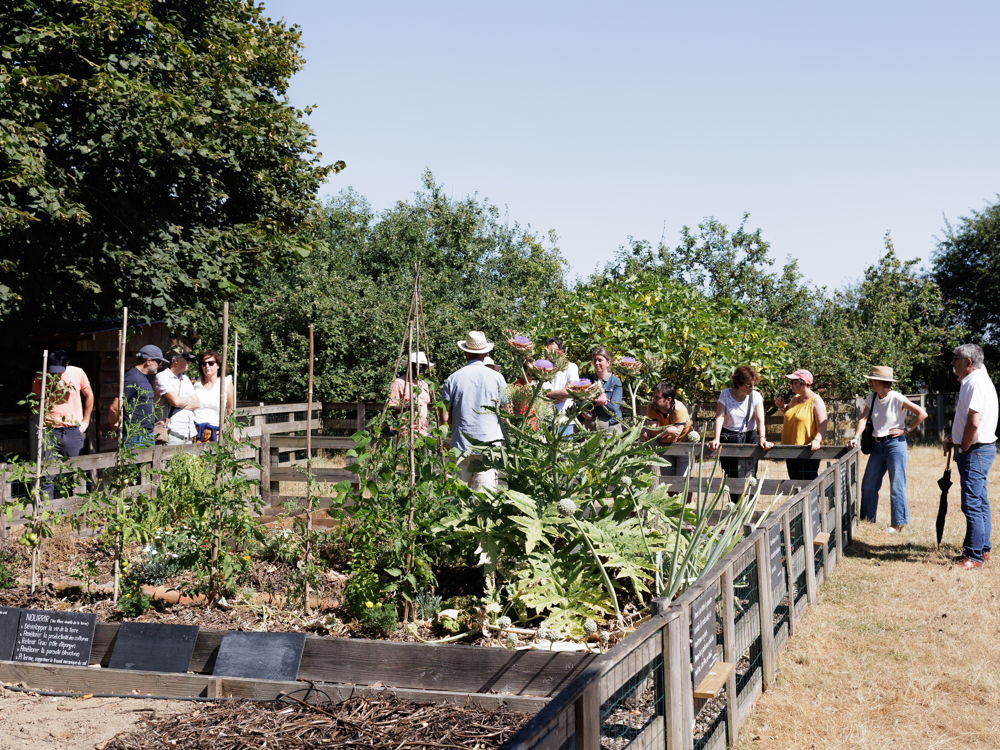 BTSA Métiers du végétal : alimentation, ornement et environnement, à orientation Agriculture Biologique (AB), à distance, formation ESA, capacité professionnelle agricole