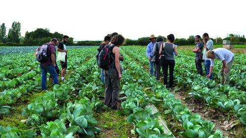 BTSA Métiers du végétal : alimentation, ornement et environnement à distance (ex : BTSA Production horticole) formation ESA, production