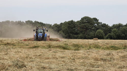 Brevet Professionnel Responsable d’Entreprise Agricole (BPREA) à distance, formation ESA, distanciel, insertion professionnelle, exploitation