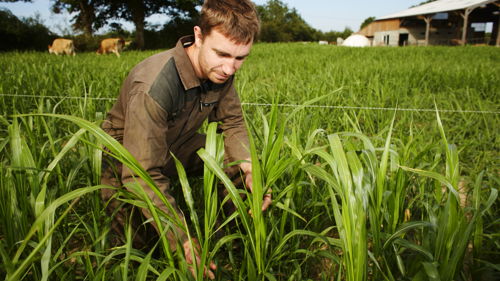 Brevet Professionnel Responsable d’Entreprise Agricole (BPREA) à distance, formation ESA, distanciel, insertion professionnelle, exploitation