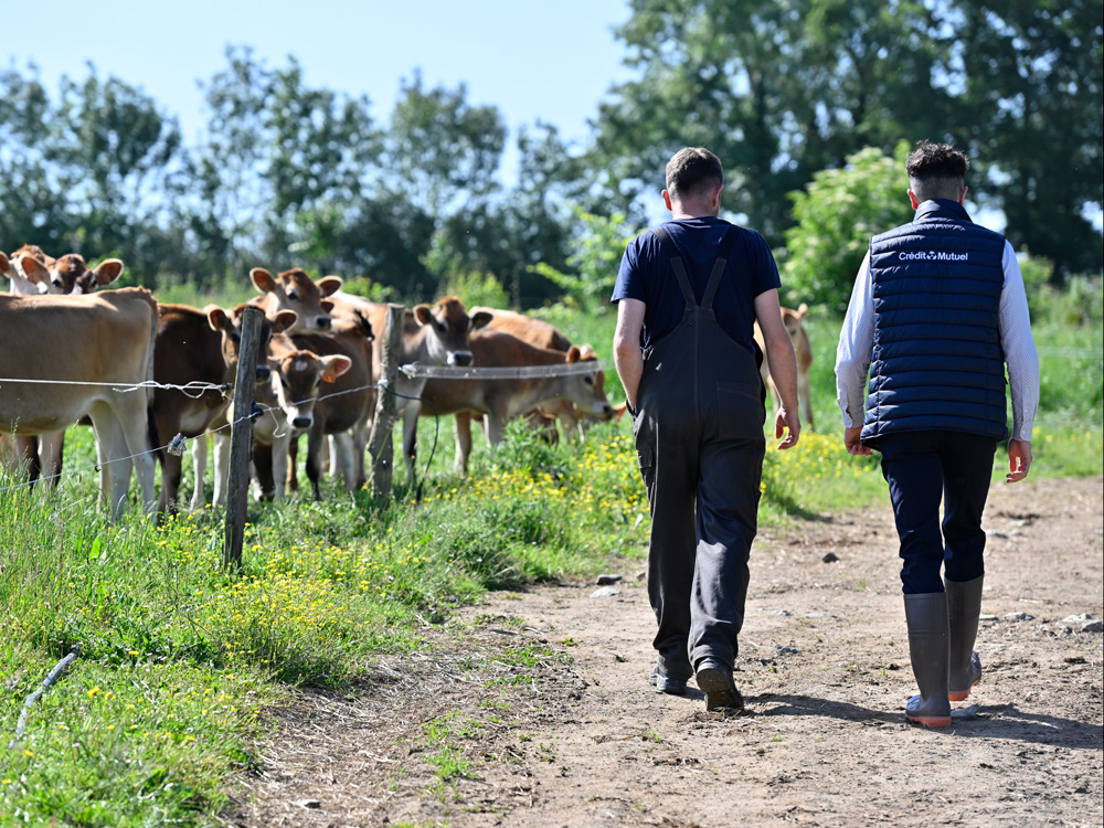 Agricadre Banque : Conseiller bancassurance du secteur agricole (Niveau 6), produits financiers