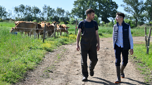 Agricadre Conseil : Conseiller en gestion d’entreprise agri-agro (Niveau 6), économiques, financières, et opérationnelles