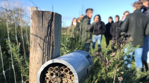 Bachelor Agroécologie et systèmes alimentaires (BSi) formation ESA environnement
