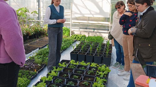 Bachelor Agroécologie et systèmes alimentaires (BSi) formation ESA environnement