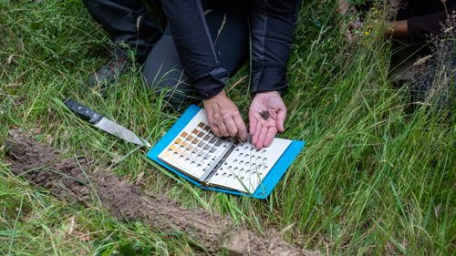 BTS Agronomie et cultures durables (ex : BTS APV) formation ESA environnement