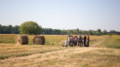 BTS Agronomie et cultures durables (ex : BTS APV) formation ESA environnement