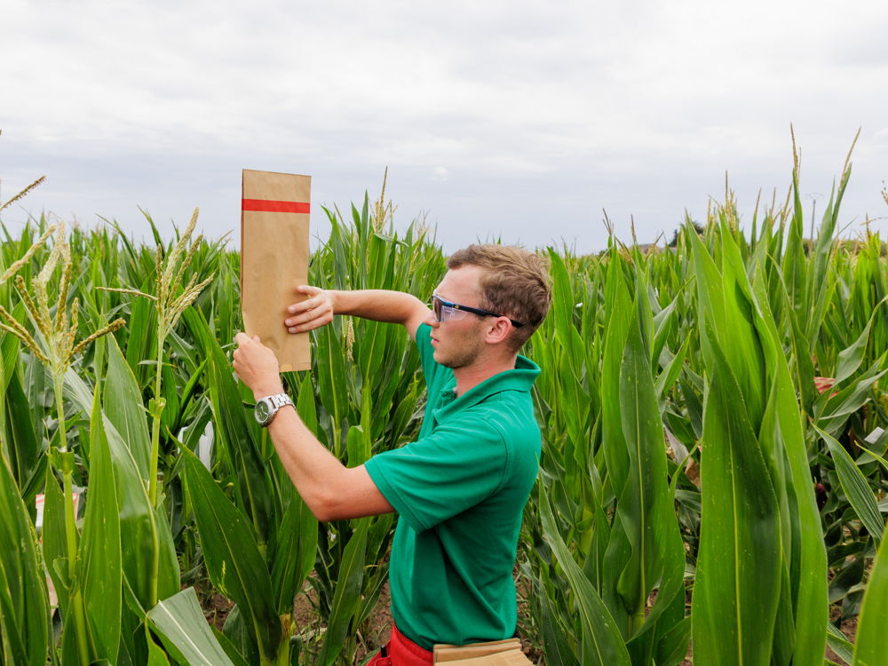BTS Agronomie et cultures durables (ex : BTS APV) formation ESA environnement