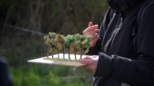 BTS Aménagements Paysagers (AP) formation ESA - nature travailler en plein air - manuel