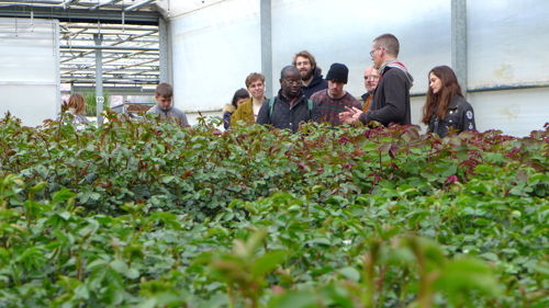 BTS Métiers du végétal : Alimentation, ornement et environnement (ex : Production Horticole) formation ESA