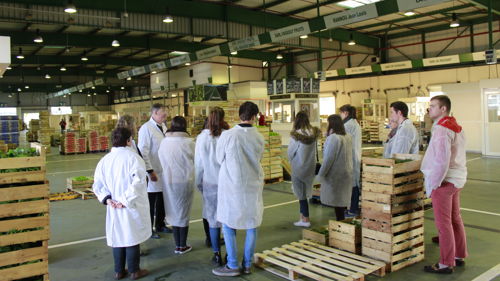 BTS Technico-commercial (TC) formation ESA commerce gestion conseiller vente