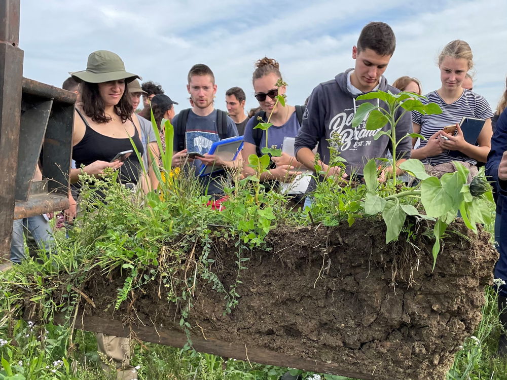 Formation ingénieur agronome ESA