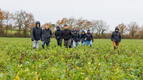 Licence pro Agronomie (productions végétales) formation ESA, conseil, innovation et transitions