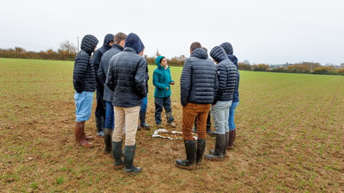 Licence pro Agronomie (productions végétales) formation ESA, conseil, innovation et transitions
