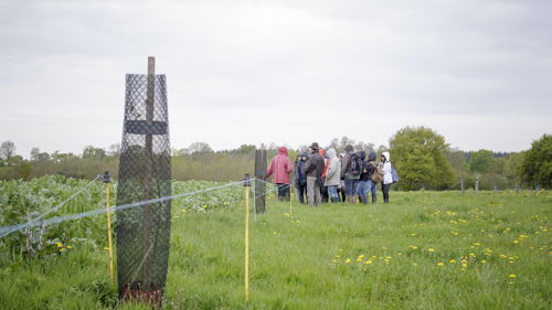Licence pro Agronomie (productions végétales) formation ESA, conseil, innovation et transitions