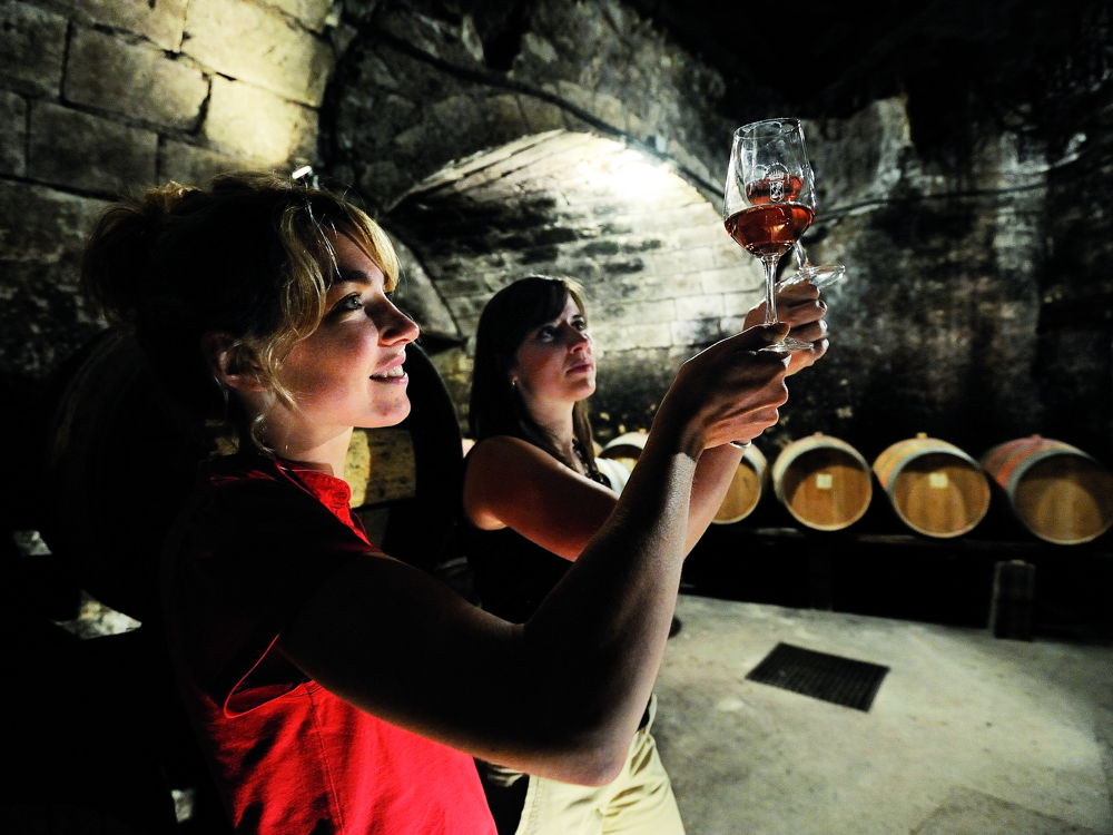 Licence pro MVT : Marketing et commerce international des vins et terroirs, formation ESA, viticulture-œnologie, viticoles, cavistes