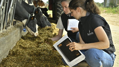 Licence pro Productions animales : Métiers du conseil en élevage, formation ESA, technico-commercial, conseiller