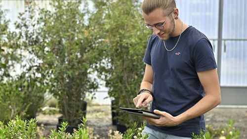 Licence pro Technico Commercial en agriculture (ex Licence pro MAC) formation ESA, pilotage, innovation, commerce durables, agro-équipement