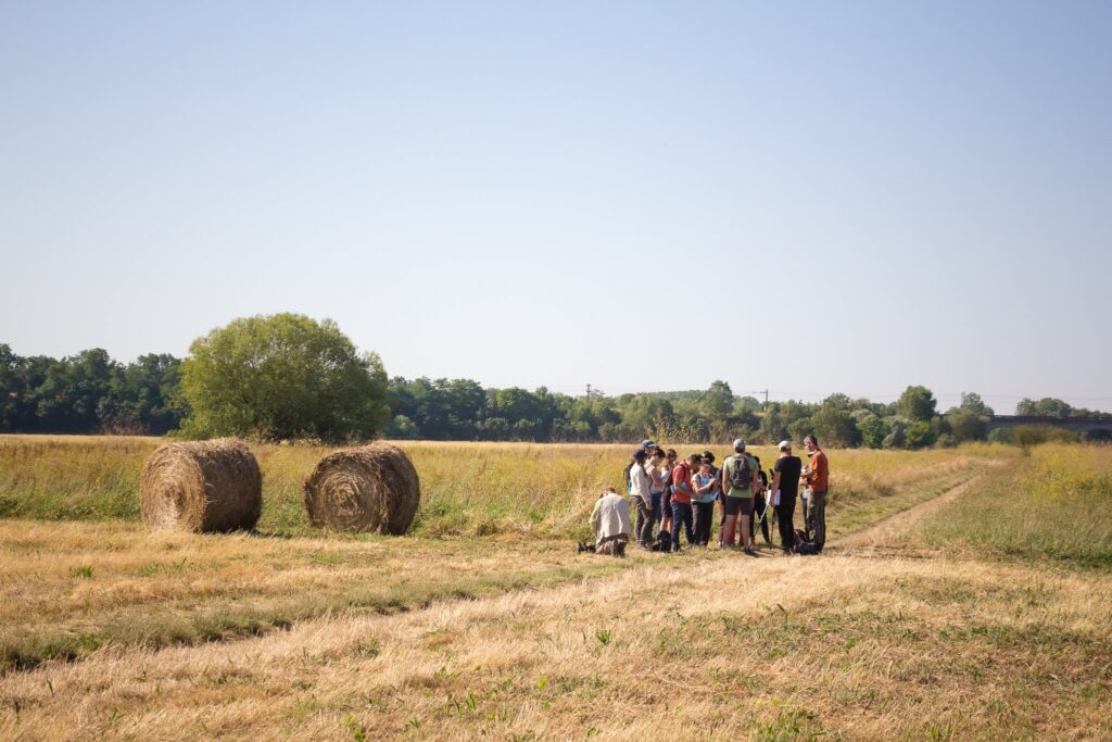 majeure Productions végétales et agroécologie, ingénieur