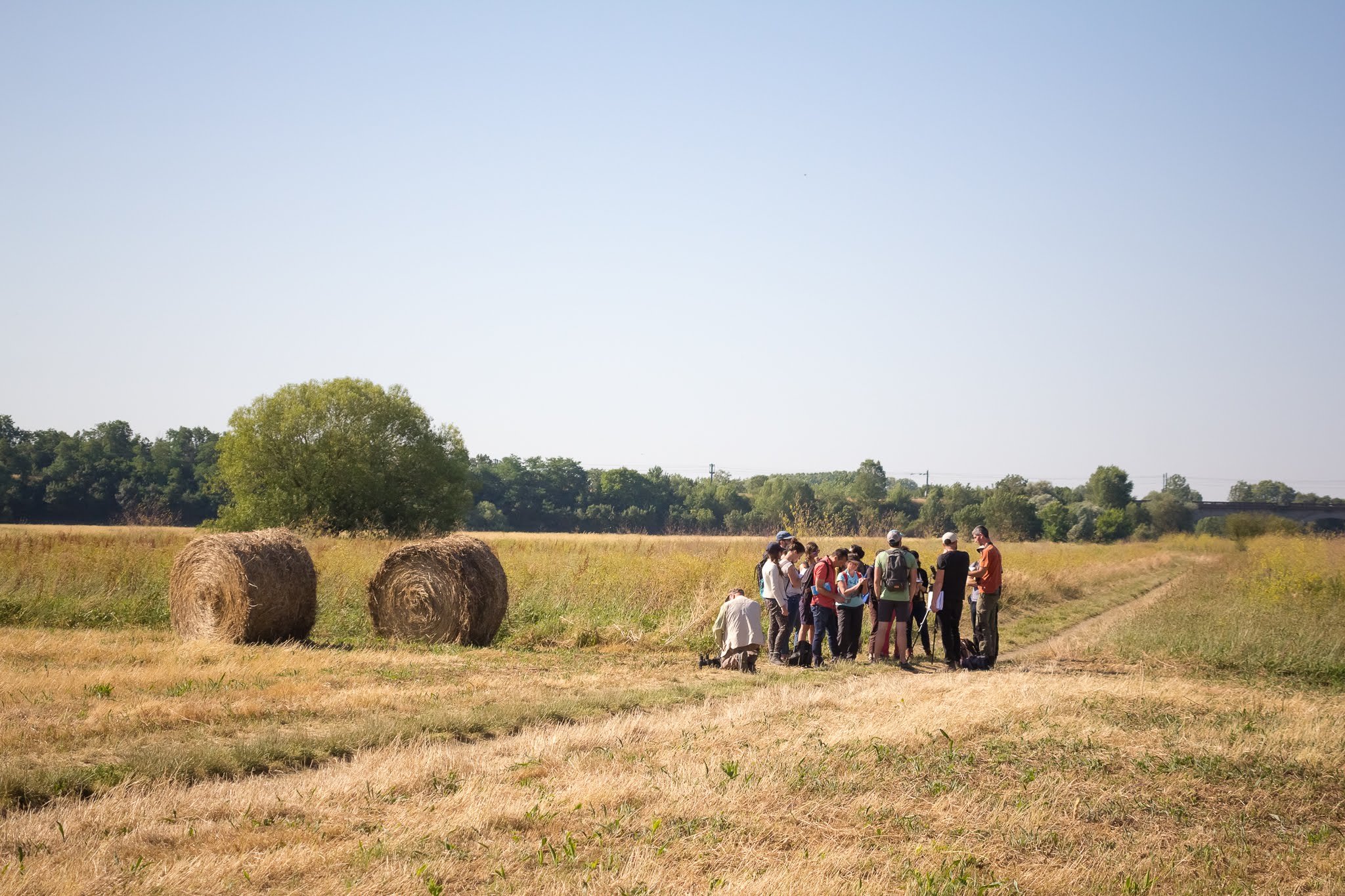 majeure Productions végétales et agroécologie, ingénieur