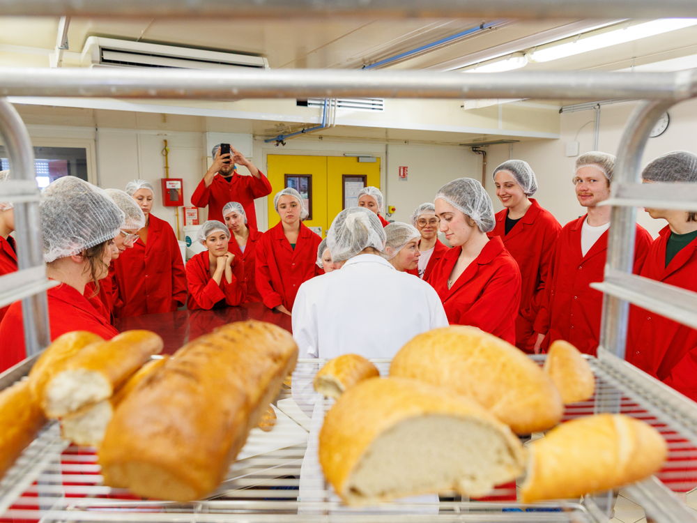 Ingénieur Majeure agroalimentaire ESA