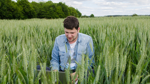 Licence pro MEA : Management de l’Entreprise Agricole , réussir votre insertion professionnelle, exploitation agricole