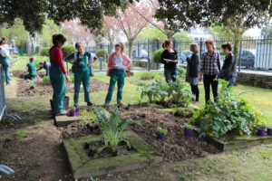 Agriculture urbaine : cueillette libre à l'ESA