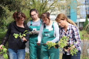 Agriculture urbaine : cueillette libre à l'ESA