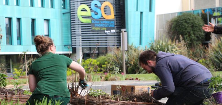 Agriculture urbaine ESA