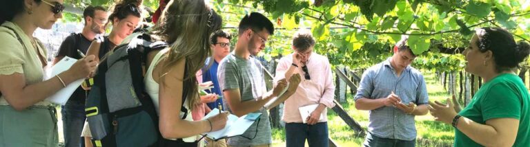 Le Bachelor environnement de l'ESA offre de nombreuses compétences