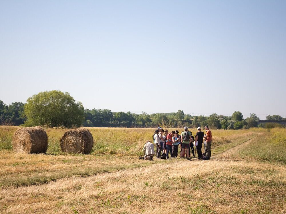BIO défis et opportunités pour une filière durable- ESA, formation courte