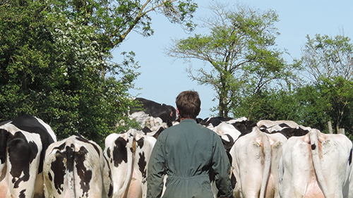 BIO défis et opportunités pour une filière durable- ESA, formation courte