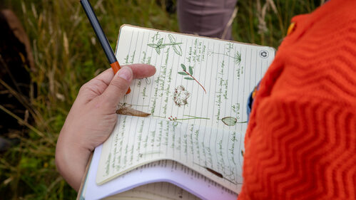 Adapter les espaces verts au changement climatique. Etudiants et étudiantes de l'ESA (École Supérieure d'Agricultures) à Angers (Maine-et-Loire).