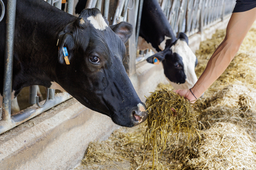 BIO défis et opportunités pour une filière durable- ESA, formation courte