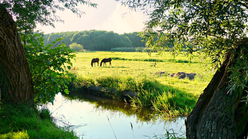 DU Bien-être animal et éthologie chevaux et animaux de rente. Formation intensive courte- ESA- diplôme d’université (DU) unique en France. Etudiants et étudiantes de l'ESA (École Supérieure d'Agricultures) à Angers (Maine-et-Loire).