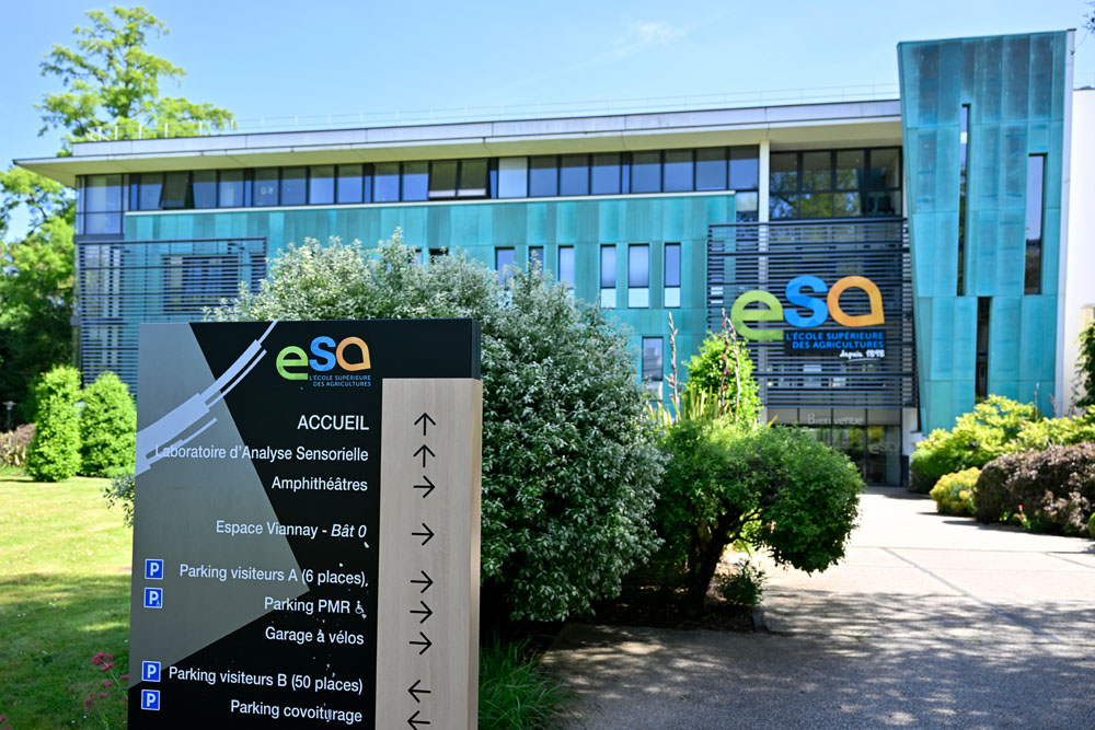 contactez l'esa