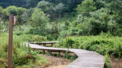 Adapter les espaces verts au changement climatique. Etudiants et étudiantes de l'ESA (École Supérieure d'Agricultures) à Angers (Maine-et-Loire).