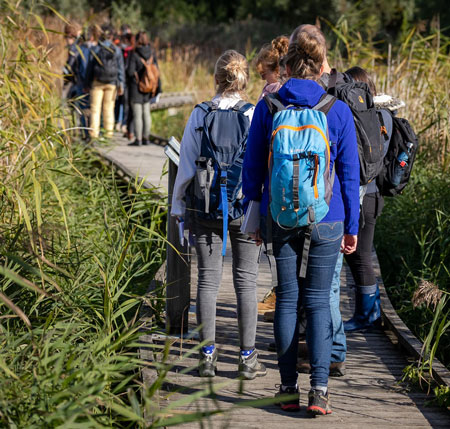 Formation ingénieur agronome ESA