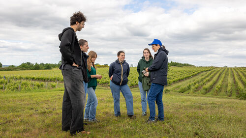 Les clés de la viticulture-Formation courte à distance- ESA- acquérir une culture générale solide sur la vigne et le vin,