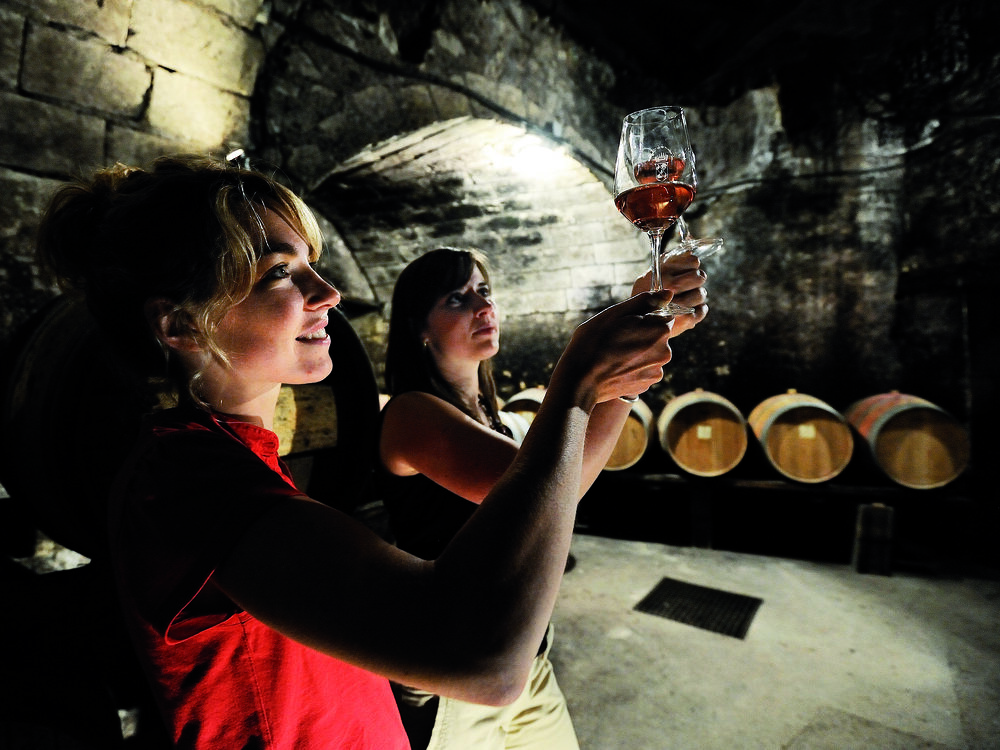 WSET Vins niveau 3-Formation courte intensive ESA-Comprendre le vin pour mieux l’apprécier ou le vendre : la méthode WSET à l’ESA !