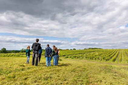 Créer et réussir ses expériences œnotouristiques. formation courte en présentiel - ESA- approche concrète et opérationnelle de la création d’expériences œnotouristiques.