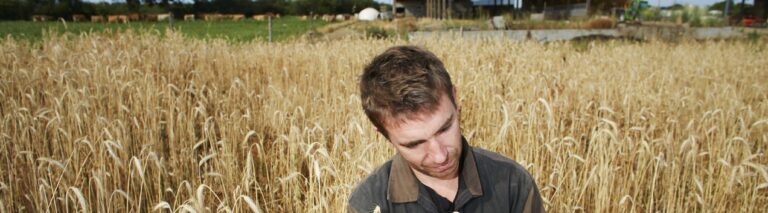 Comment devenir responsable de production dans le milieu agricole avec l'ESA