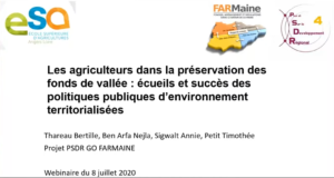 web farmaine
