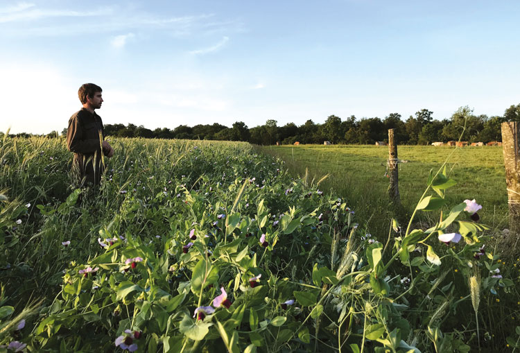 ESA, école supérieure des agricultures. Recherche en agriculture, agronomie.