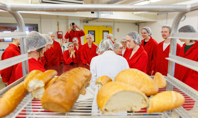 Formation agroalimentaire
